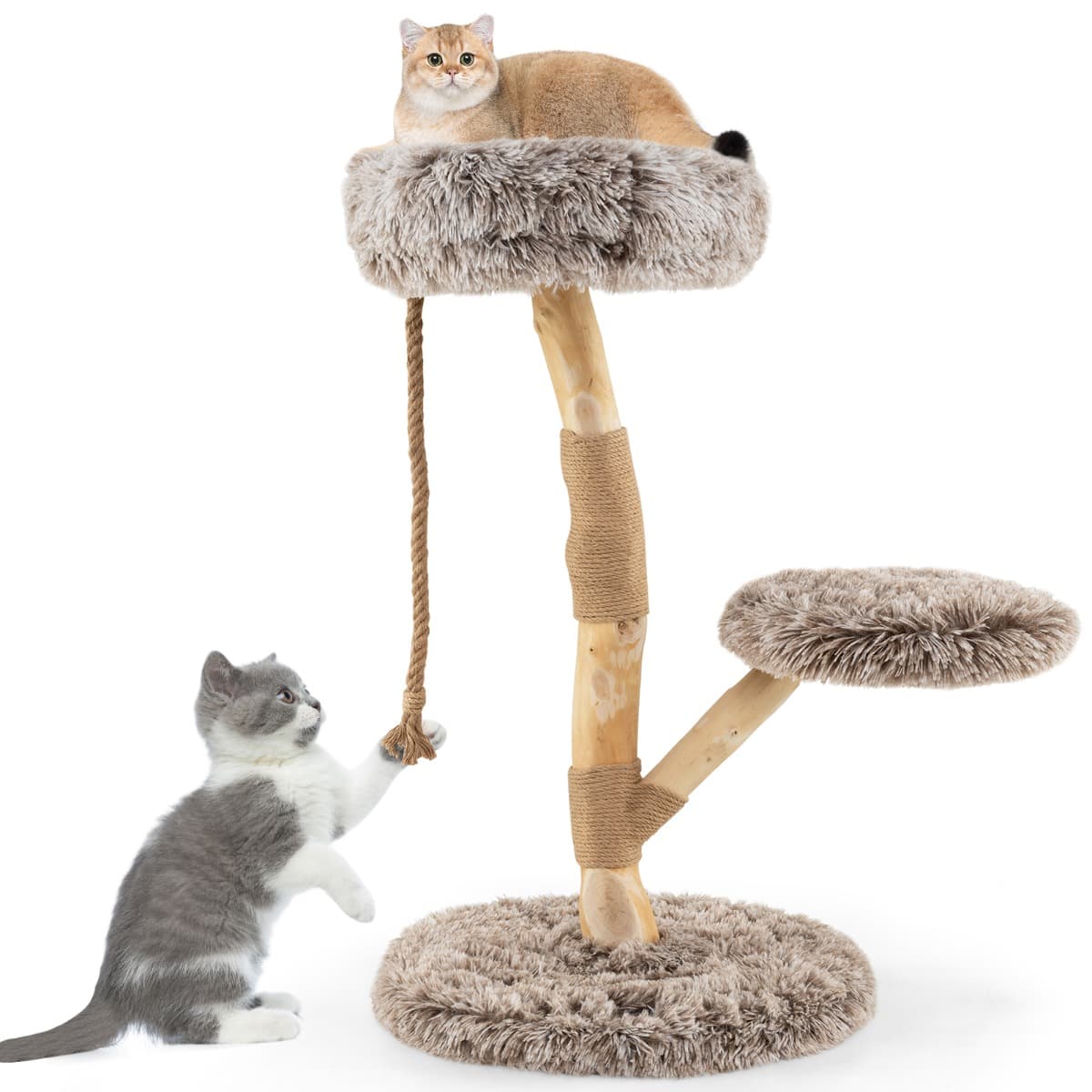 CostwayArbre à Chat Tour en Bois pour Chat avec Perchoir Centre d'Activité en Bois Massif pour Chat avec Poteaux à Gratter Corde en Jute Doux Gris