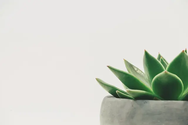5 Pratiques Zen pour Équilibrer Votre Temps de Loisirs