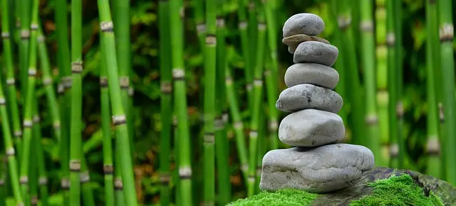 Les Meilleures Activités Zen pour Équilibrer Votre Quotidien