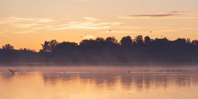 10 Loisirs Zen à Pratiquer pour Équilibrer Votre Vie