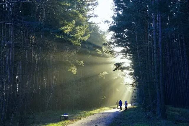 Comment Pratiquer la Méditation en Bougeant : Guide Pratique