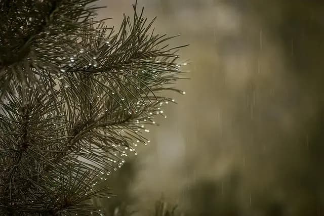 Les Meilleures Activités de Loisirs Zen pour Équilibrer Votre Vie