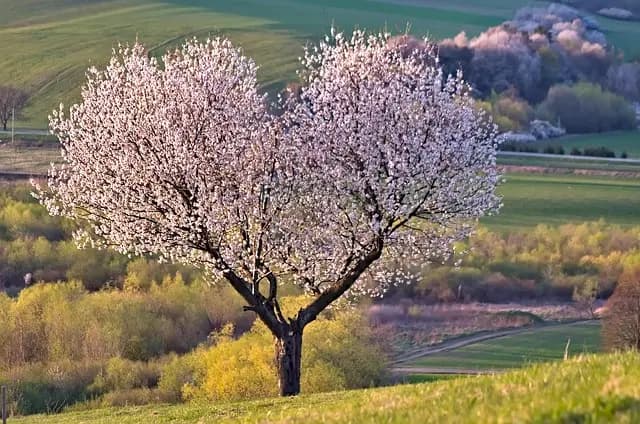 5 Activités Zen à Pratiquer pour Équilibrer Votre Vie