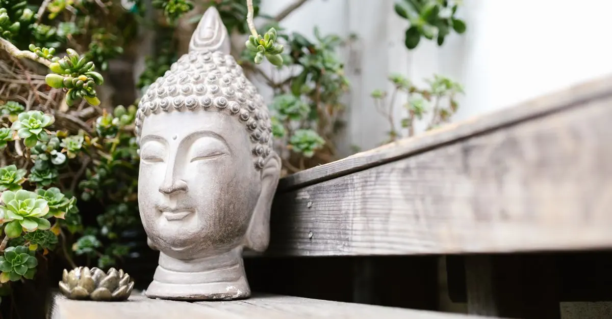 Découvrir les Activités Zen : Comment Bien Choisir