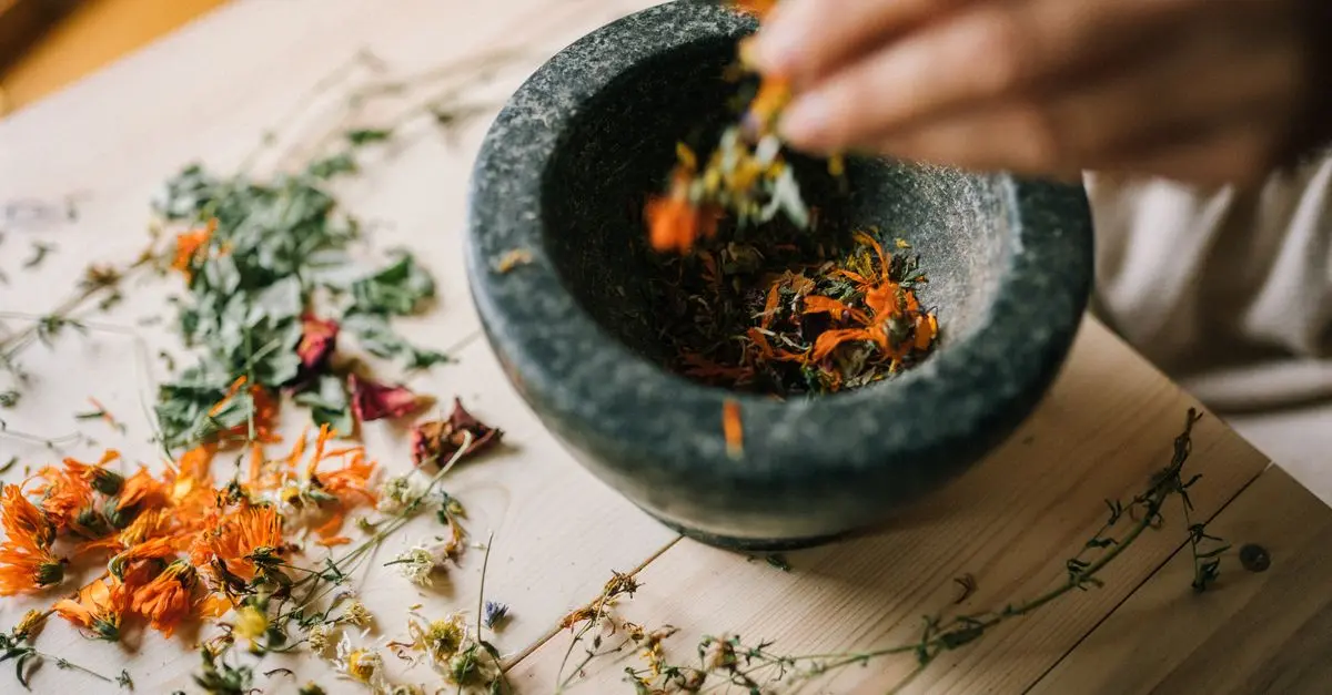 Les Secrets de la Naturopathie pour le Bien-être