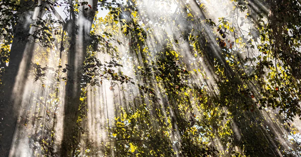 Comment Pratiquer la Méditation en Plein Air Pour Se Ressourcer