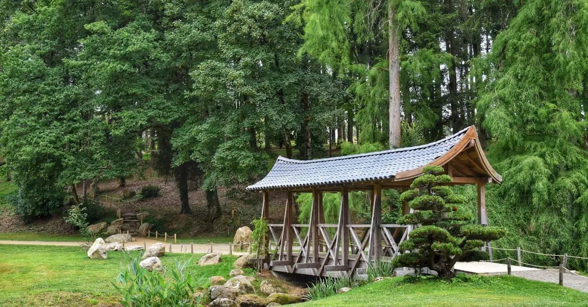 Comment Pratiquer le Mindfulness en Loisirs : Guide Pratique