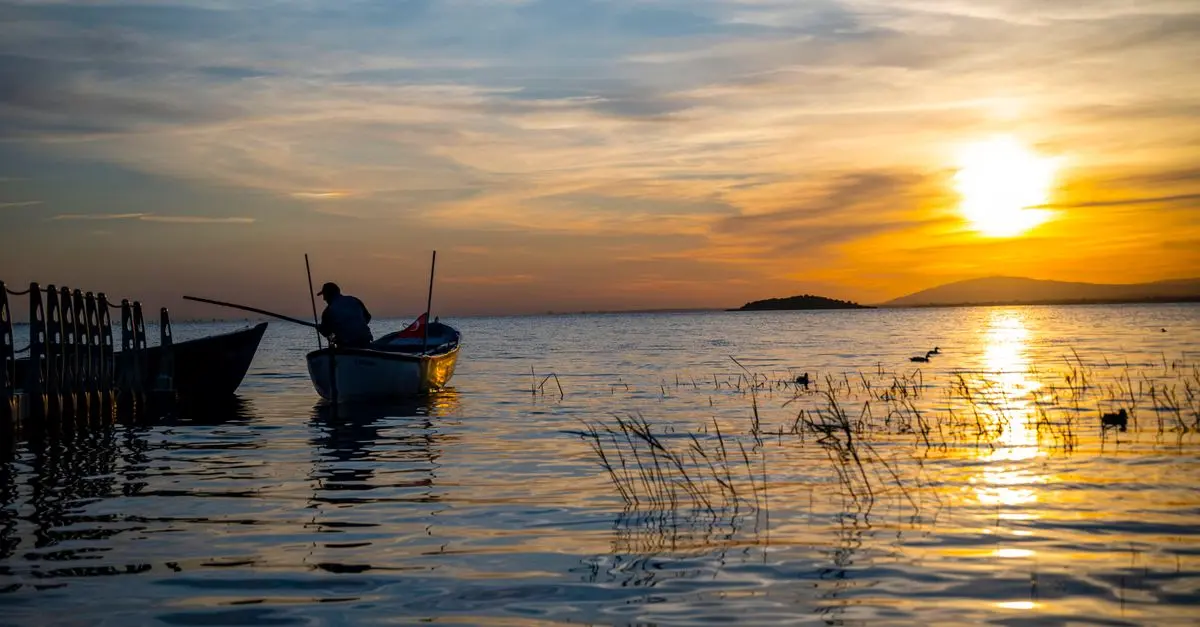L'Art de la Pêche Zen : Pourquoi et Comment S'Initier