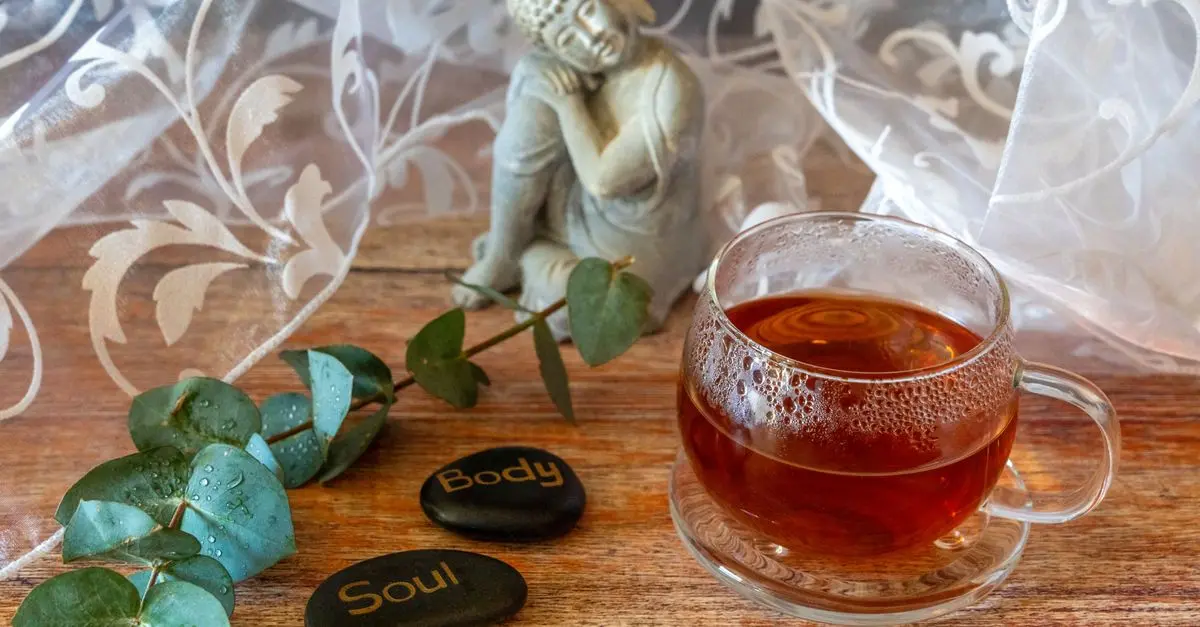 Les Meilleures Boissons Pour Se Détendre