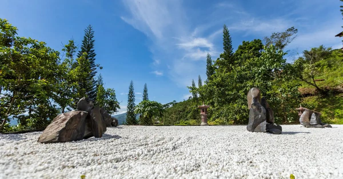 Comment Intégrer des Activités Zen dans Votre Pause Déjeuner