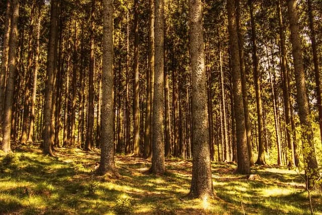 Les 7 Meilleures Activités Zen pour Équilibrer Votre Esprit