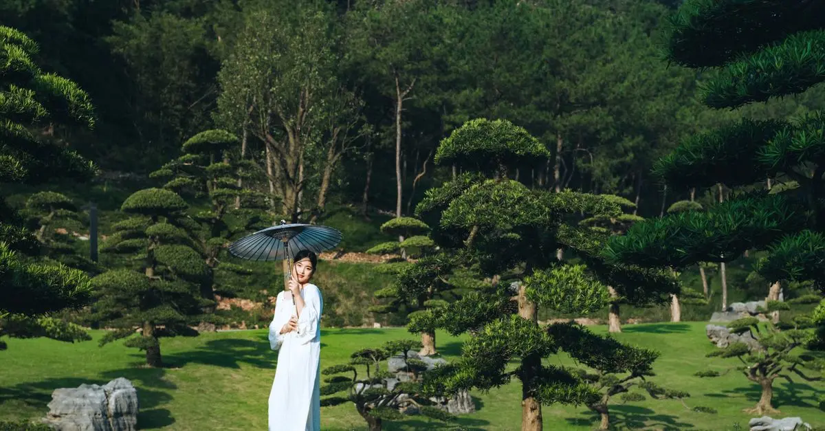 Les Bienfaits du Tai Chi pour le Corps et l'Esprit