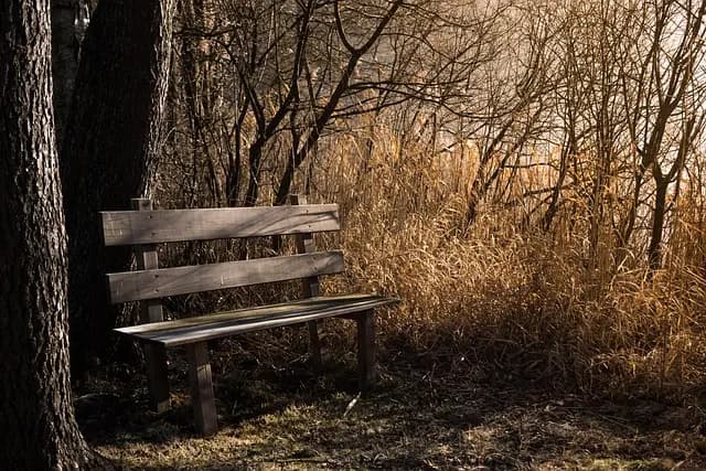 Comment Créer des Activités Zen en Plein Air pour Se Ressourcer