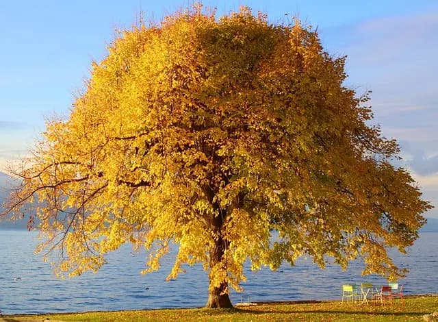 5 Activités Zen à Pratiquer Pour Équilibrer Votre Esprit