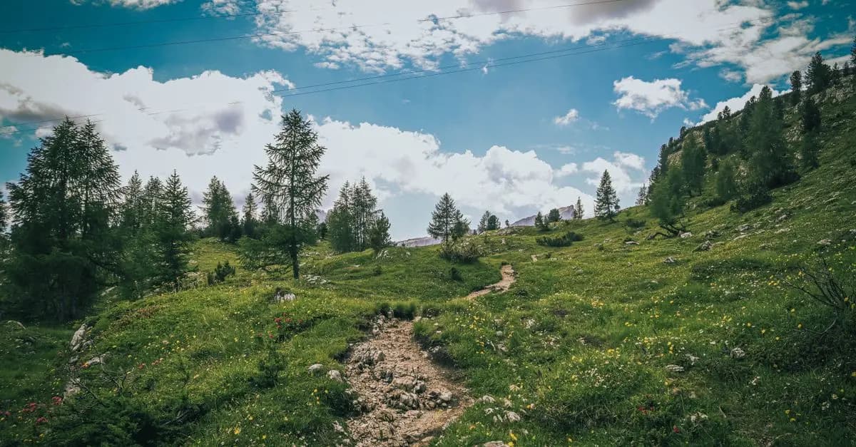 Comment Incorporer la Nature dans Vos Activités de Loisirs