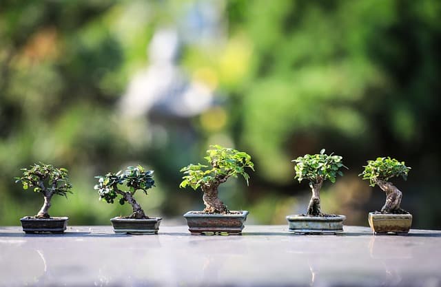 Les Bienfaits de la Peinture Zen sur votre Bien-être