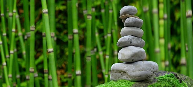 Comment Choisir les Meilleures Activités de Loisirs Zen