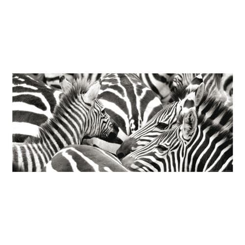 AG ART Zebras, photo murale, 202 x 90 cm, 1 part